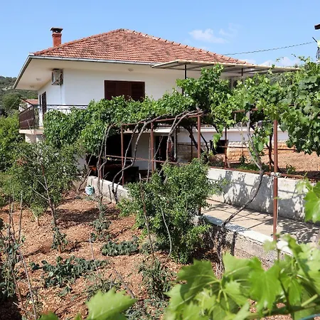 Marin Vinisce
